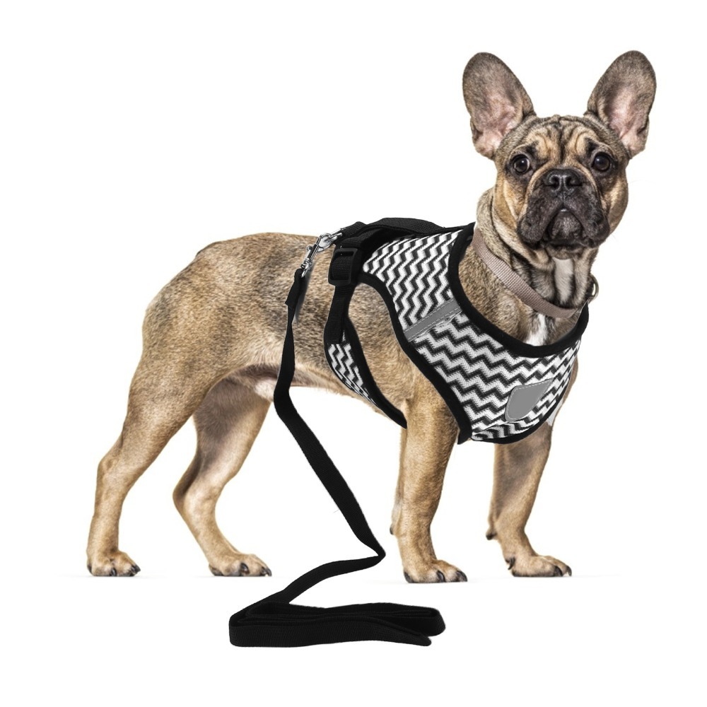 Fabric Weight Set - Mesh Fabric Pet Harness Set I-Shape