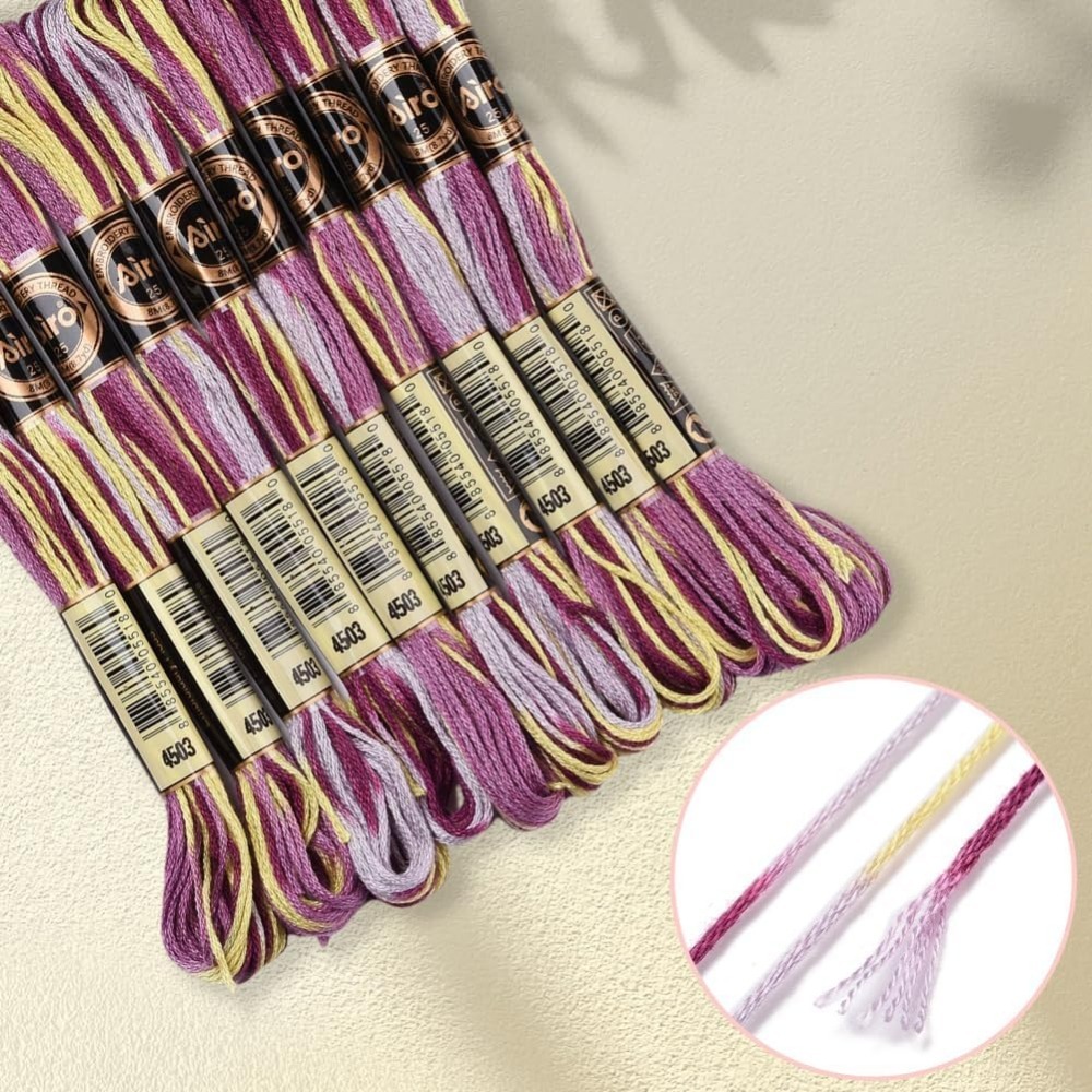 6 Strands Purple Variegated Em - Embroidery Floss Thread review and price